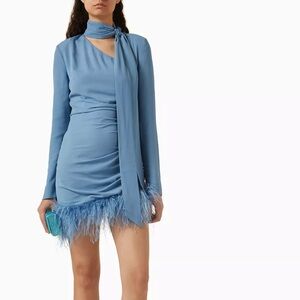 De La Vali Light Blue Women's Feather-Hem Dtess with Long Sleeves